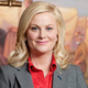 Illustration for article titled The Best Questions and Answers From Amy Poehler's Delightful AMAA